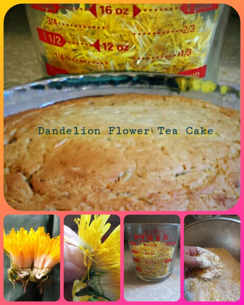 inCollage_20180427_202804407